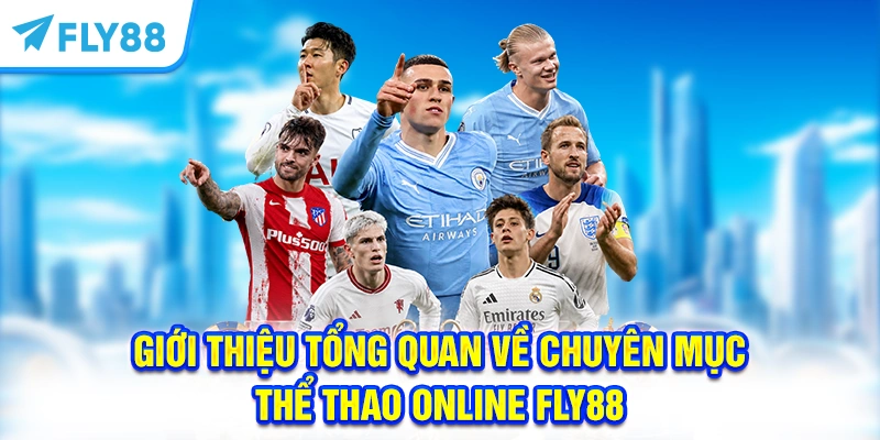 Giới thiệu tổng quan về chuyên mục thể thao online FLY88