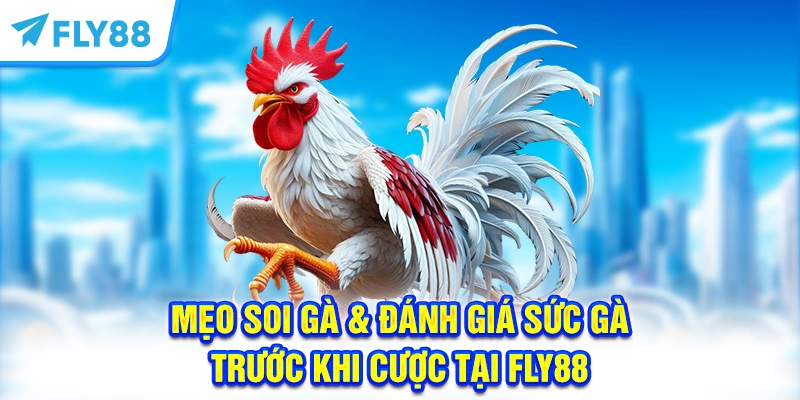 Mẹo Soi Gà & Đánh Giá Sức Gà Trước Khi Cược Tại FLY88