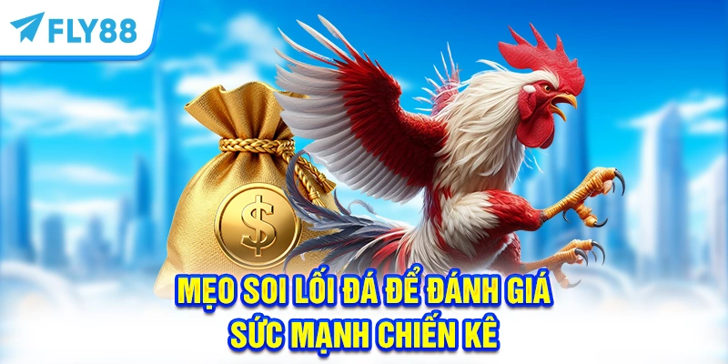 Mẹo soi lối đá để đánh giá sức mạnh chiến kê