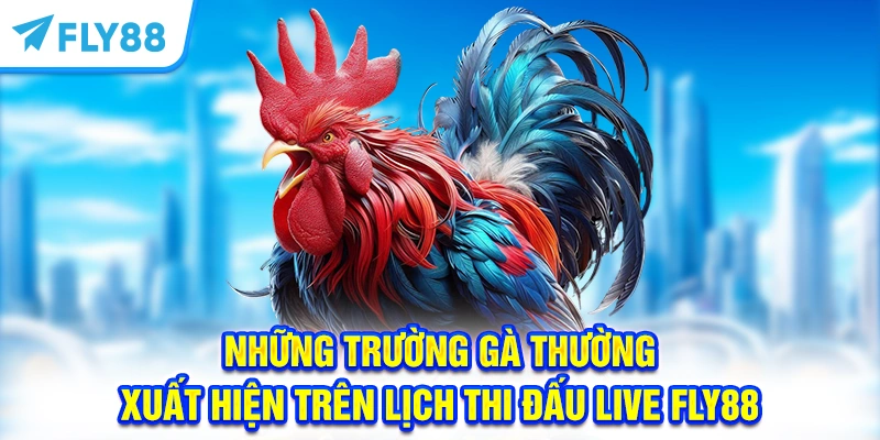Những trường gà thường xuất hiện trên lịch thi đấu Live FLY88