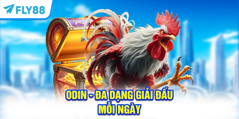 ODIN - Đa dạng giải đấu mỗi ngày cùng tỷ lệ ăn thưởng hấp dẫn