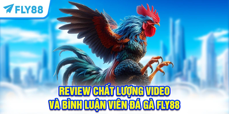 Review Chất Lượng Video Và Bình Luận Viên Đá Gà FLY88
