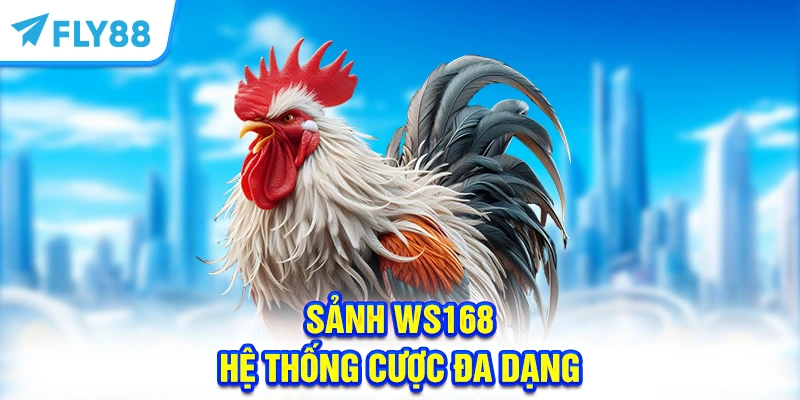 Sảnh WS168 - Hệ thống cược đa dạng, tốc độ truyền tải mượt mà