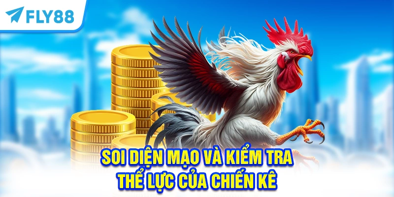 Soi diện mạo và kiểm tra thể lực của chiến kê