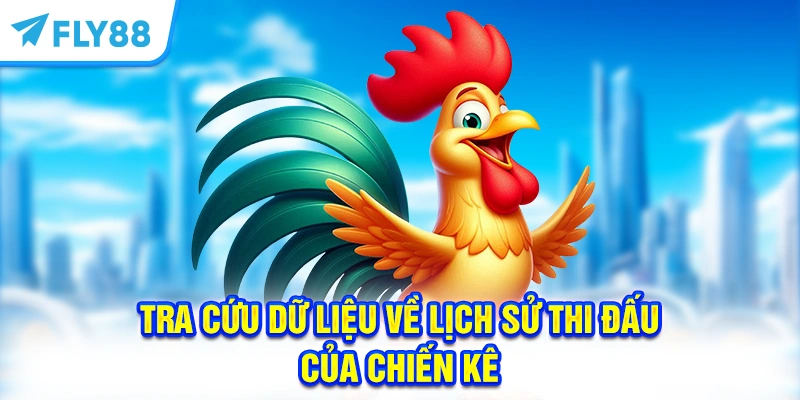 Tra cứu dữ liệu về lịch sử thi đấu của chiến kê