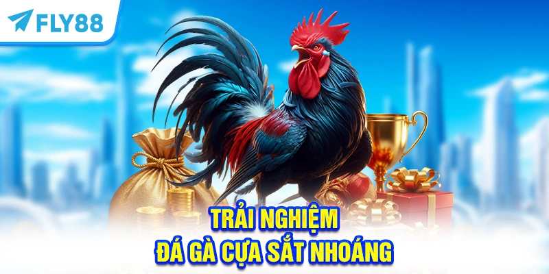 Trải nghiệm đá gà cựa sắt với những pha ra đòn chớp nhoáng 