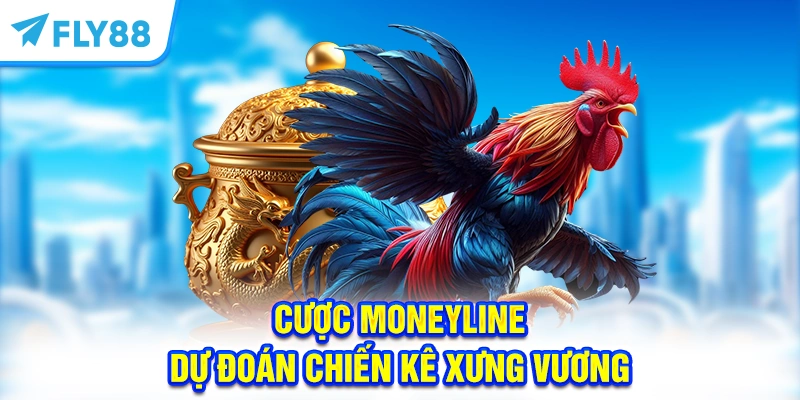 Cược Moneyline - Dự đoán chiến kê xưng vương