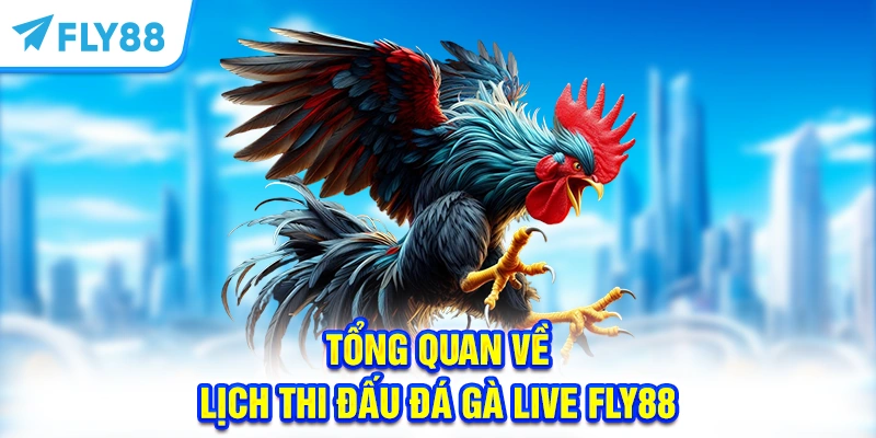 Tổng quan về lịch thi đấu Đá Gà Live FLY88